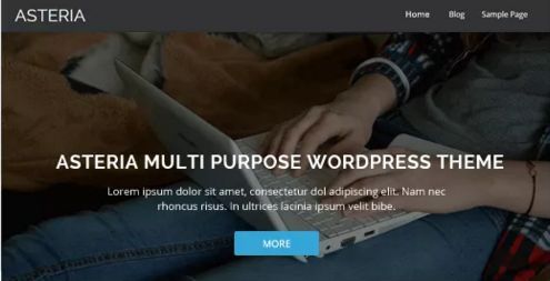 Best Free WordPress Themes For Business